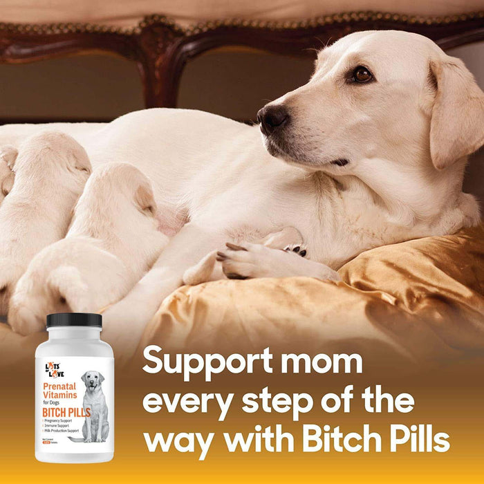 Lots of Love Bitch Pills - 120 Count  