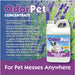 OdorPet - 1/2 gal  Lavender Scent - Lavender Half Gallon 