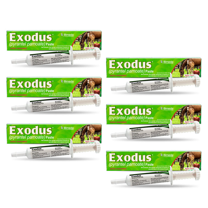 Exodus Pyrantel Pamoate Horse Dewormer Paste