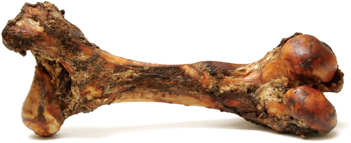 Jumbo Beef Bone for Medium to Large Dogs -   