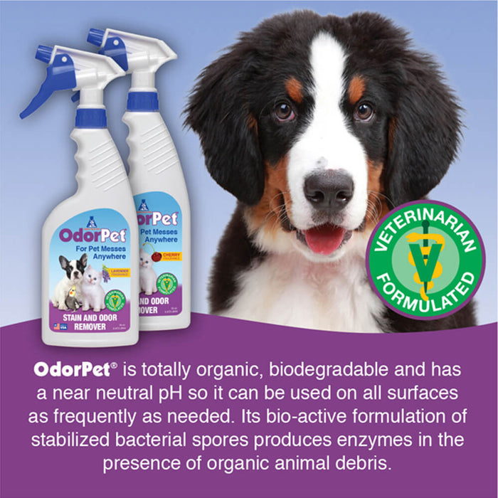 OdorPet -RTU 16oz w/sprayer Lavender Scent - Light Amber Lavender 16 oz