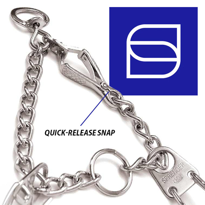 Collares de entrenamiento con púas a presión