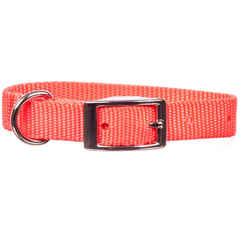 5/8' Nylon Dog Collar, 18'L - Jeffers - Dog Supplies > Dog Apparel > Dog Collars, Harnesses, & Leashes