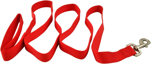 5/8' Nylon Dog Leash, 4' L - Jeffers - Dog Supplies > Dog Apparel > Dog Collars, Harnesses, & Leashes