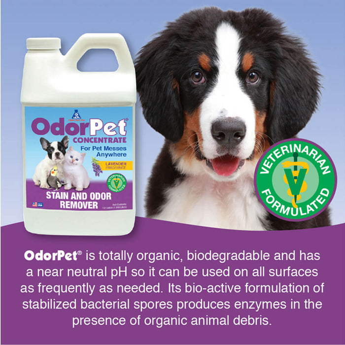 OdorPet - 1/2 gal  Lavender Scent - Lavender Half Gallon 