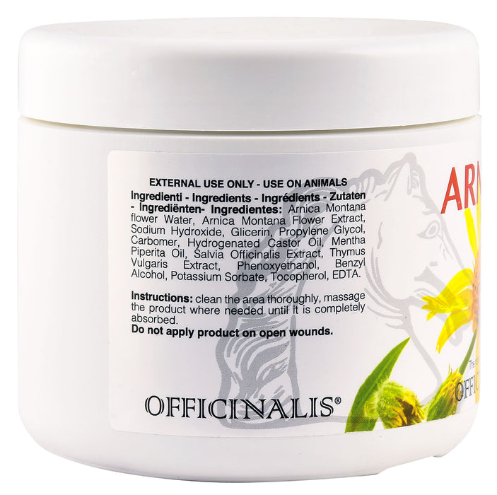 Arnica Gel (90%) - Arnica Gel (90%), 500 mL  