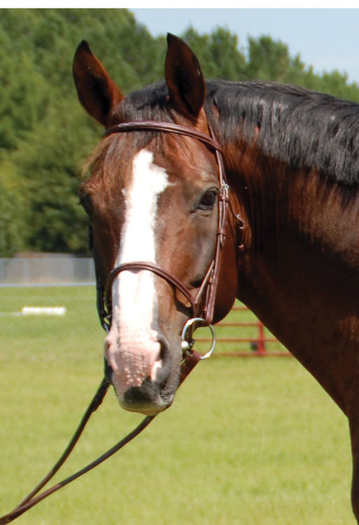 Camelot Plain Raised Snaffle Bridle - Cob  