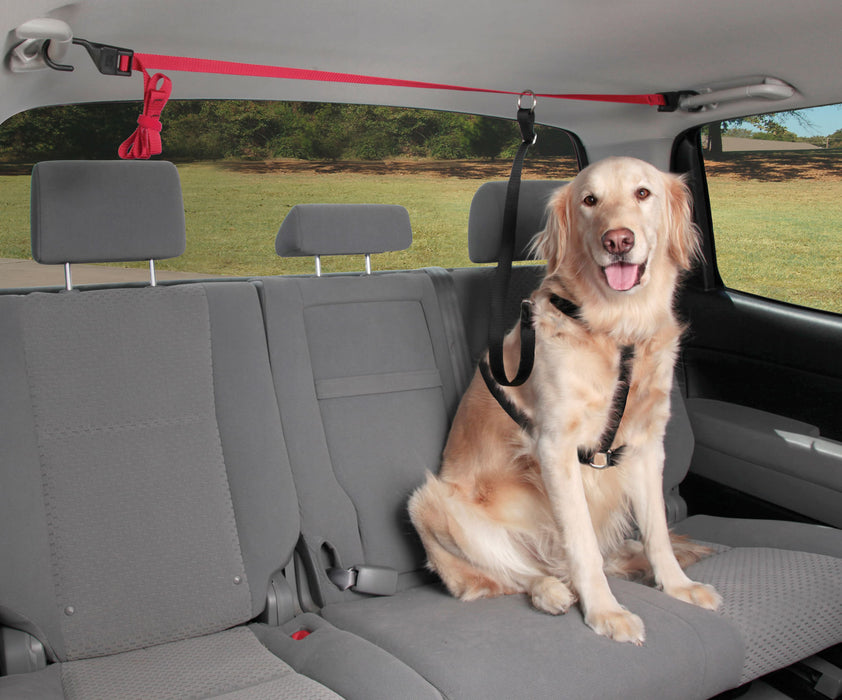 PupZip Vehicle Zipline -   