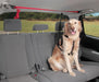 PupZip Vehicle Zipline -   