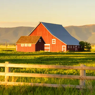 Red barn with a tin roof in a field with mountains in the background
