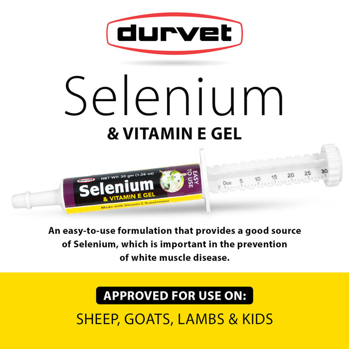 Selenium & Vitamin E Oral Gel