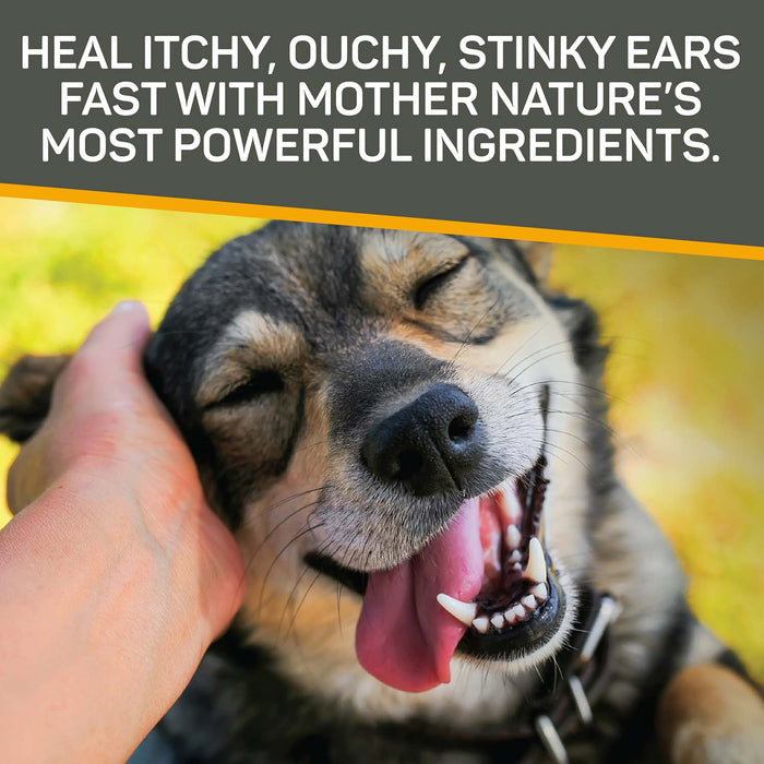 Silver Honey Rapid Ear Care Vet Strength Ear Treatment Rinse + Concentrated Doses -   