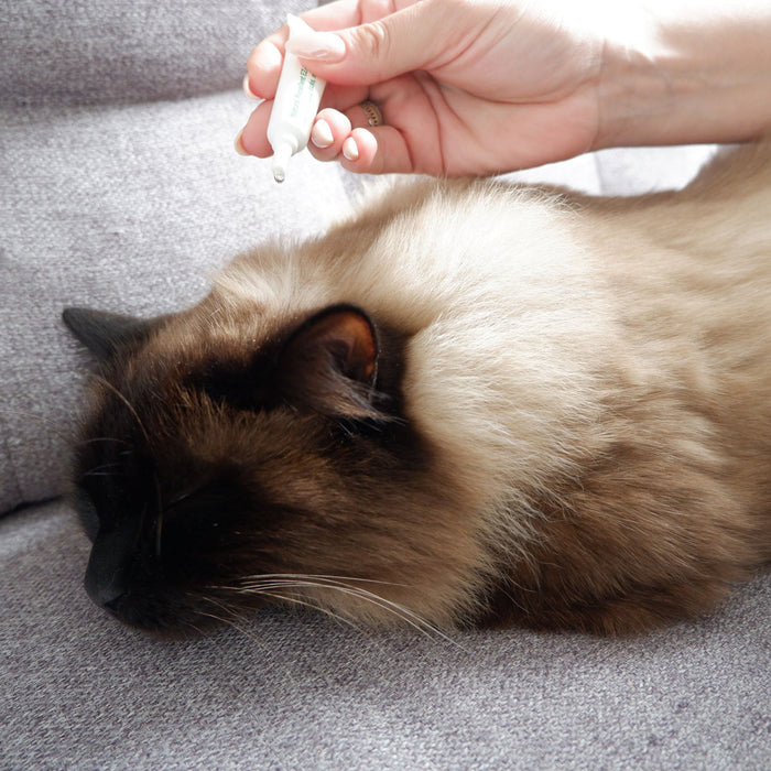 Plant Based Flea & Tick Squeeze-On Cat  