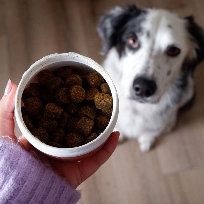 Plant-Based Skin & Coat Soft Chews, 90ct  