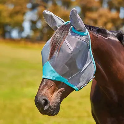 Horse wearing a fly mask with a blurred natural background