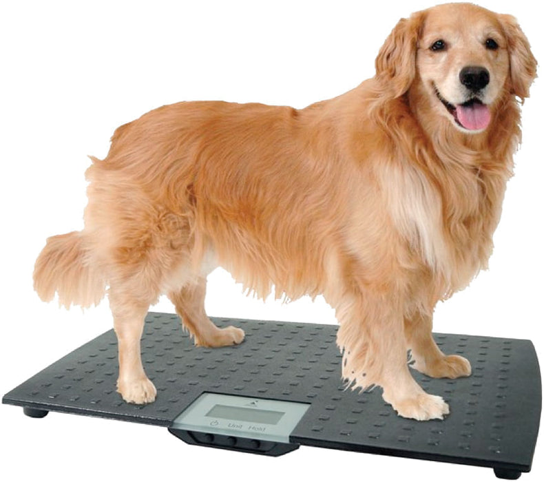 Large Digital Pet Scale -   