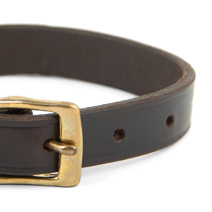 Jeffers Flat Latigo Leather Dog Collar with Brass Hardware