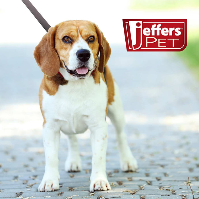 Correa Plana de Cuero Jeffers Pet 6', 3/4" W