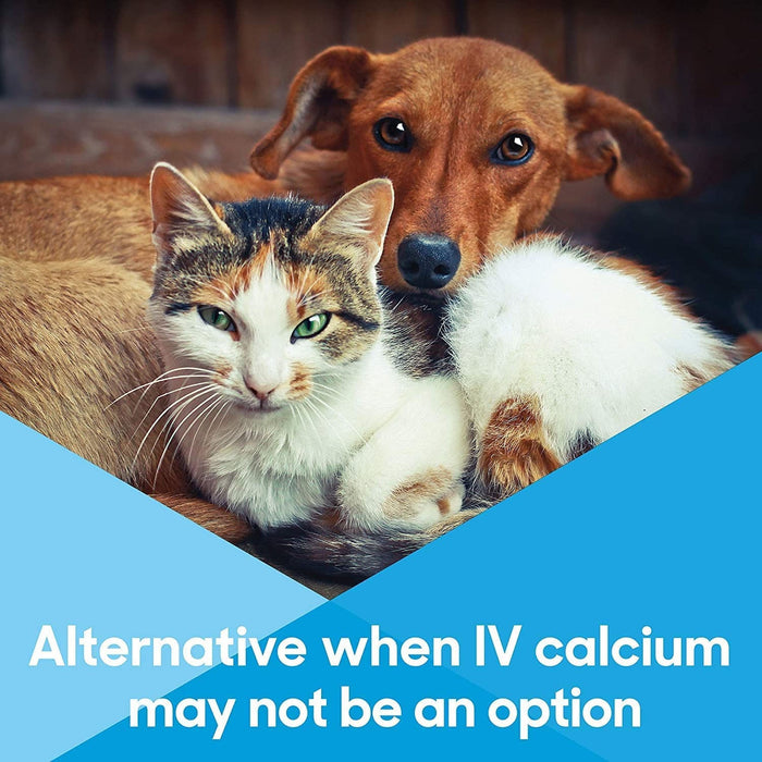 Lots of Love Calcium Now - 15 ml  