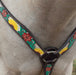 Circle Y Rising Sunflower Breast Collar -   