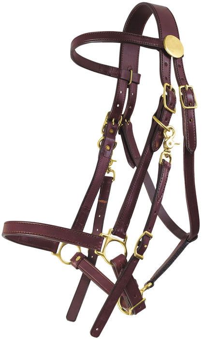 Tucker Standard Halter Bridle -   