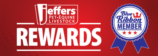 Blue Ribbon Membership