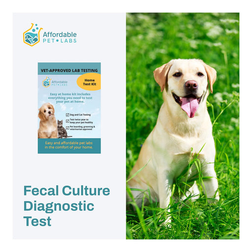 Affordable Pet Labs Fecal Culture Diagnostic Test For Dogs Easy Home Kit  