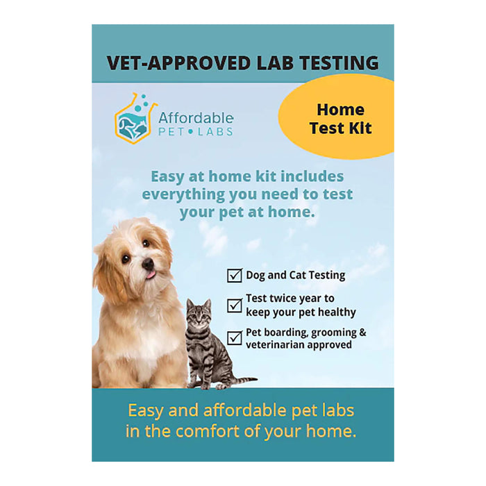 Affordable Pet Labs Large Animal Fecal ( Horse, Cow, Sheep, Goat and Pig) Diagnostic Test Easy Home Kit  