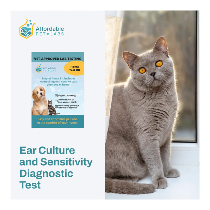 Affordable Pet Labs Ear Culture and Sensitivity Diagnostic Test For Cat Easy Home Kit  