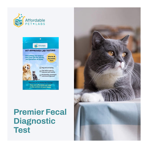 Affordable Pet Labs Premier Fecal Diagnostic Test For Cats Easy Home Kit  