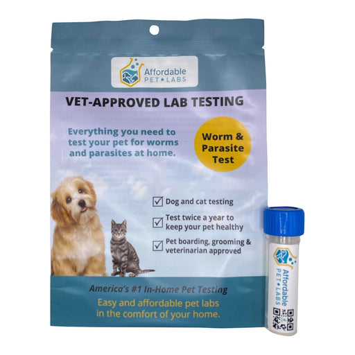 Affordable Pet Labs Premier Fecal Diagnostic Test For Cats Easy Home Kit  