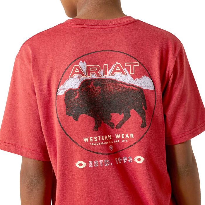 Ariat Boys Short Sleeve Tee, Color Red