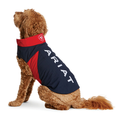 Team Softshell Dog Jacket, Navy/Red Size: Large Size Large