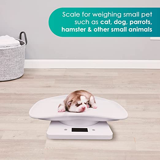 FurBaby Newborn Pet Scale -   