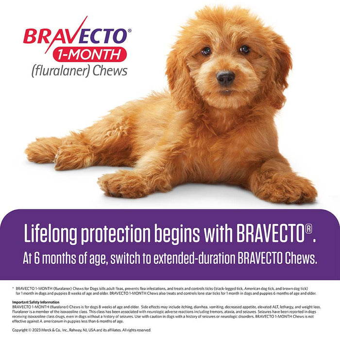 Bravecto Chews for Dogs, 1 Month - Rx Bravecto, 1 Month, 4.4-9.9 lb x 1 Chew  