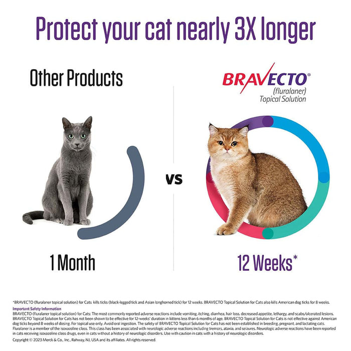 Rx BRAVECTO Topical Feline - Rx Bravecto Topical Feline, 13.8-27.50 lb x 1 Tube  