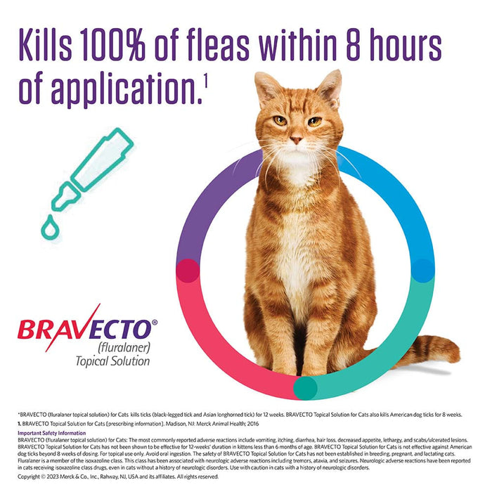 Rx BRAVECTO Topical Feline - Rx Bravecto Topical Feline, 13.8-27.50 lb x 1 Tube  