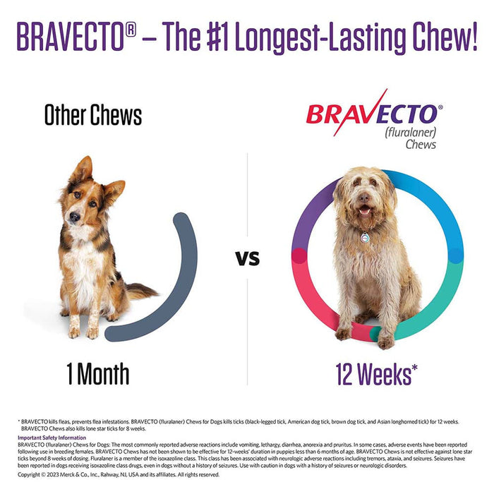 Bravecto Chews for Dogs, 1 Chew - 88-123 lb Dogs, 1 Chew  