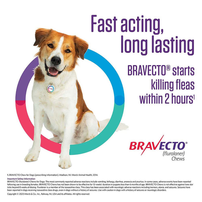 Bravecto Chews for Dogs, 1 Chew - 9-22 lb Dogs, 1 Chew  