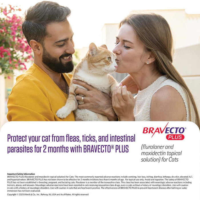 Rx BRAVECTO Plus Topical Cat - Rx Bravecto Plus Topical Cat, 6.2-13.8 lb x 1 Tube  