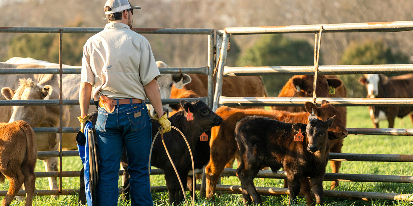 Breeding Supplies