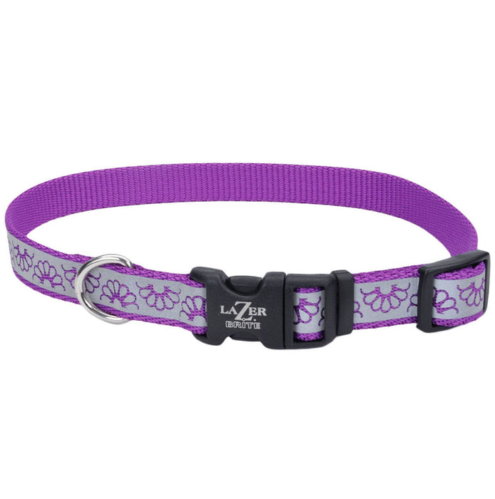 Lazer Brite Dog Collar, 8-12" x 3/8" - Purple Daisy  