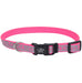 Lazer Brite Dog Collar, 8-12" x 3/8" - Pink Zebra  