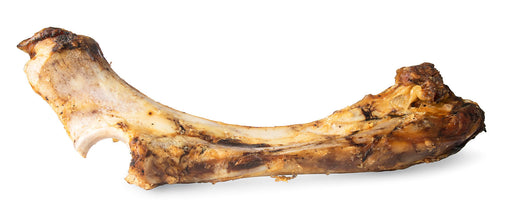 ChewMax Slammer Beef Bone, 14" L -   