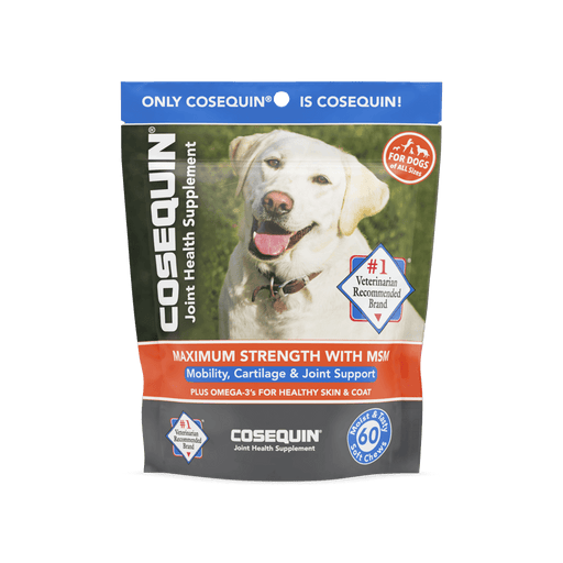 Nutramax Cosequin Joint Health Supplement for Dogs - With Glucosamine, Chondroitin, MSM, and Omega-3's - 60 ct Cosequin Max MSM PLUS Omega-3s Soft Chews  