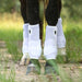 Classic Equine Legacy 2 Front Boots, Large - White  