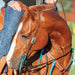 Martin Antique Turquoise Sliding Ear Headstall -   