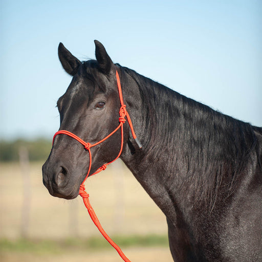 Classic Equine Econo Rope Halter with 8' Leadrope - Red  