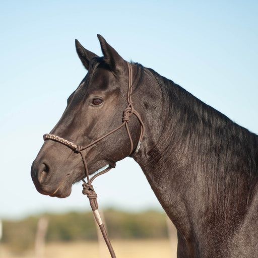 Classic Equine 3-Tone Rope Halter with 8' Lead Rope - Black, Tan & White  