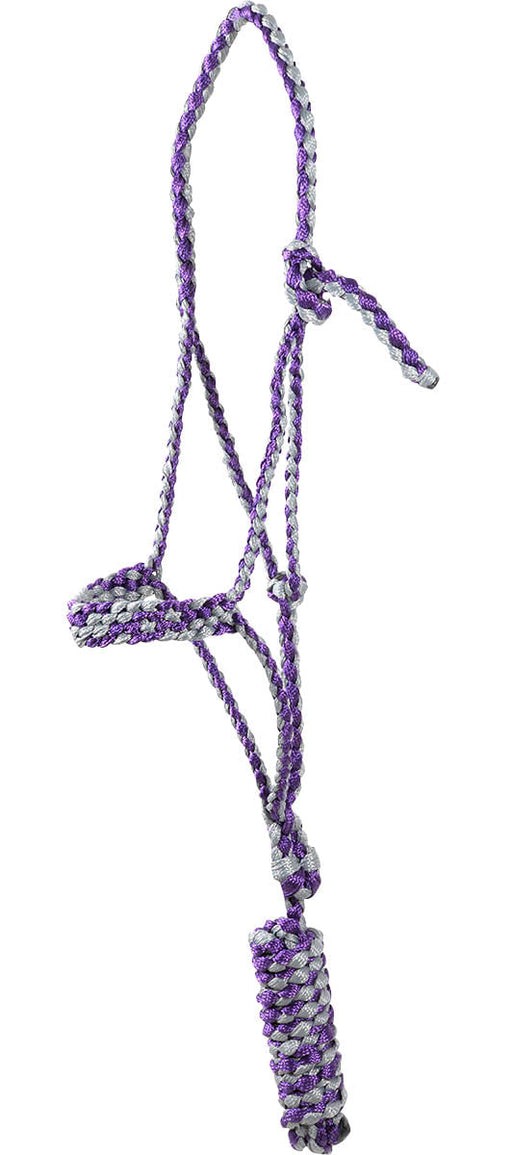 Classic Equine Flat Braid Halter with Lead Rope - Purple & Grey  